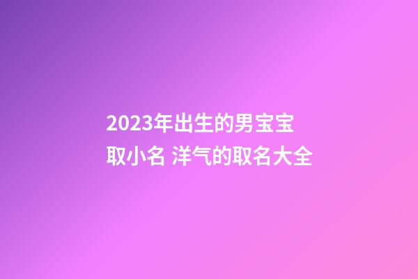 2023年出生的男宝宝取小名 洋气的取名大全